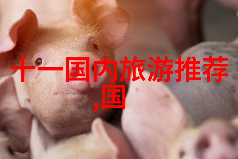 襄阳古城漫步探索千年文化遗迹与现代魅力