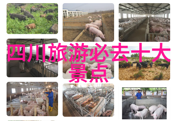 小红书美食 - 探秘小红书美食圈手感好吃的家常做法与高级调味技巧