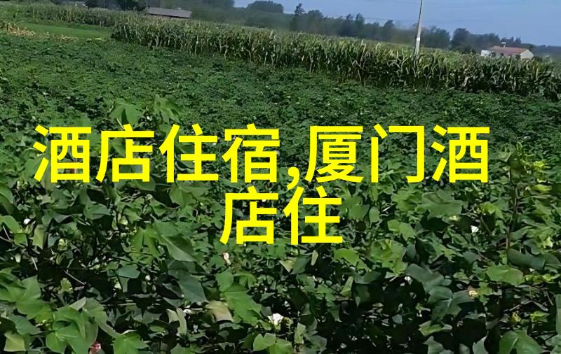 芜湖旅游必去景点数据驱动的游玩攻略