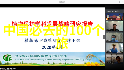 泰山美食番外篇尝鲜当地特色小吃