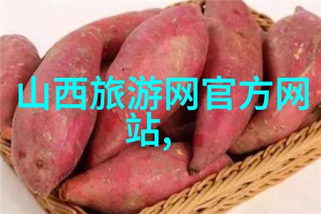 中国自行车狂潮骑行者的网络聚集地