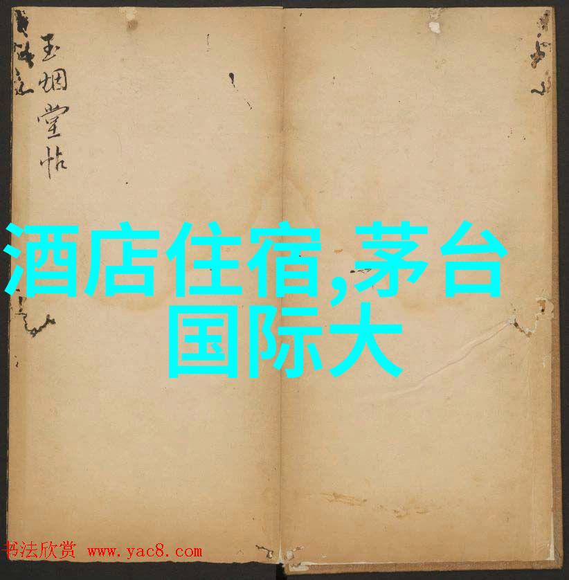法国空姐飞行中的时尚与服务精髓