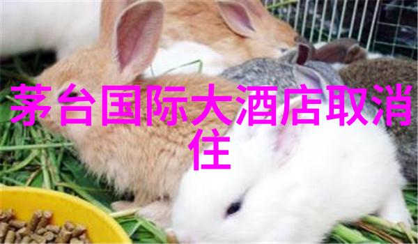 探索未知全球旅游热点新鲜资讯
