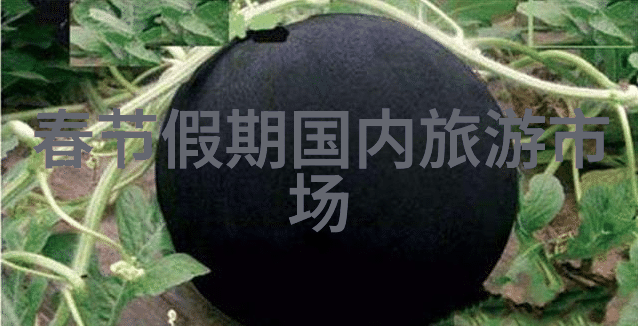 如何规划一次完美的自驾游探索周边一日游的最佳景点有哪些