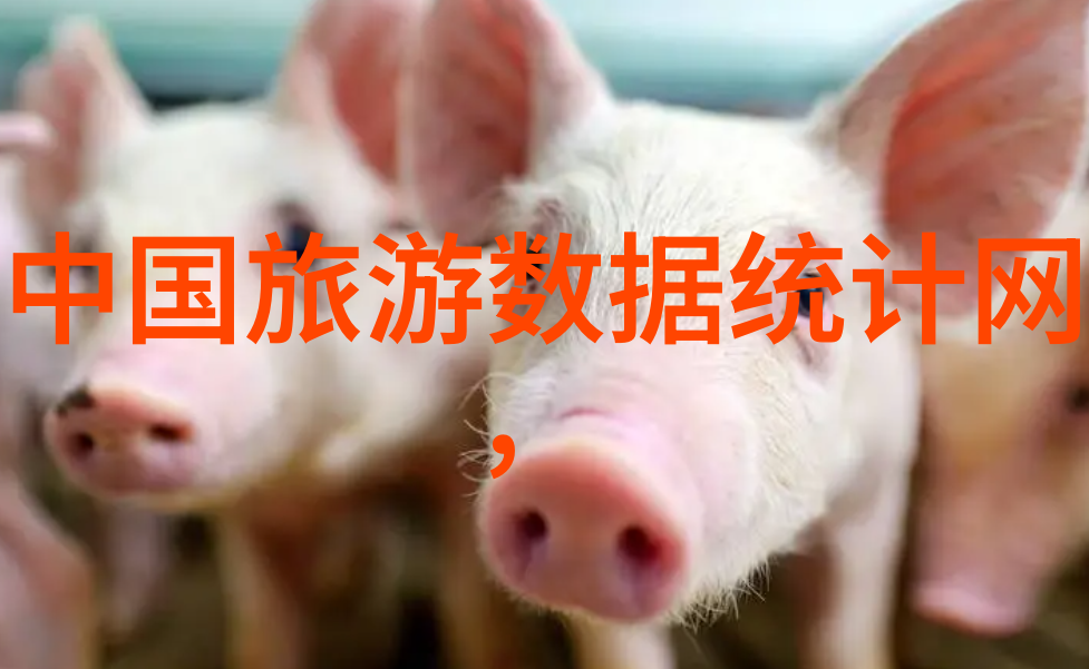 报旅游团我的旅行小伙伴哪个旅游App最棒