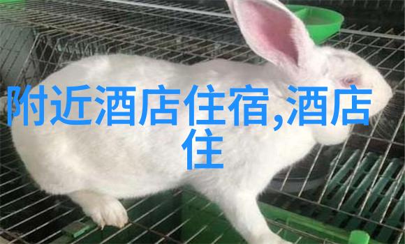 探索黄河故乡河南自驾游的迷人风情