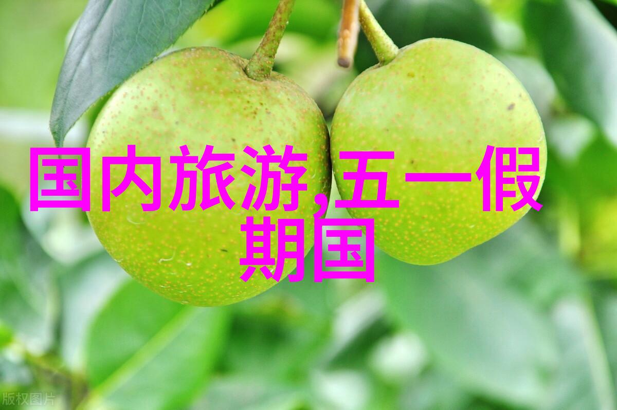 请问在北京西站是否有提供便捷的公寓式住宿服务