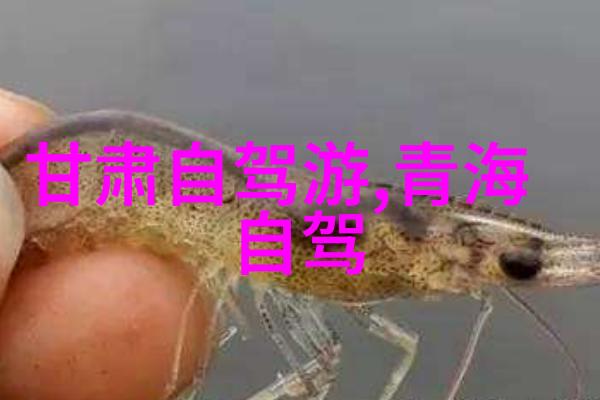 上海旅游住哪个区方便-探索龙之脊梁上海最佳游玩区选址指南