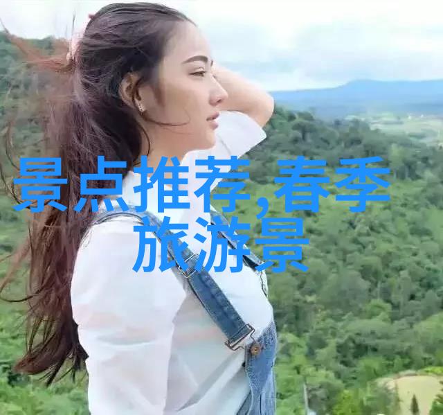 出国旅行的秘密武器如何用一张护照征服世界不需要超能力