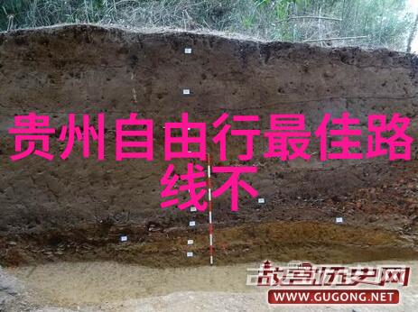 街头狂舞RAPPER日本免费直播的热潮