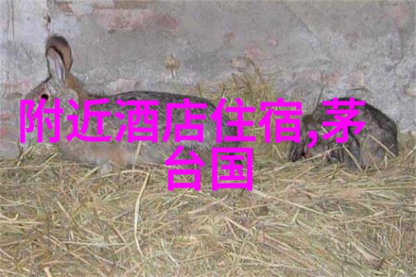 海南自驾游绕足不留于世间万物之美景也