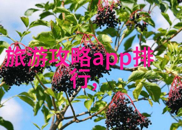 小学游记探索儿童视角下的文化与自然教育