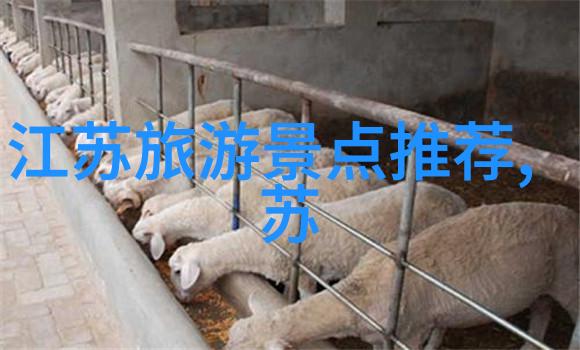 探秘云南香格里拉雪域天堂的神秘魅力