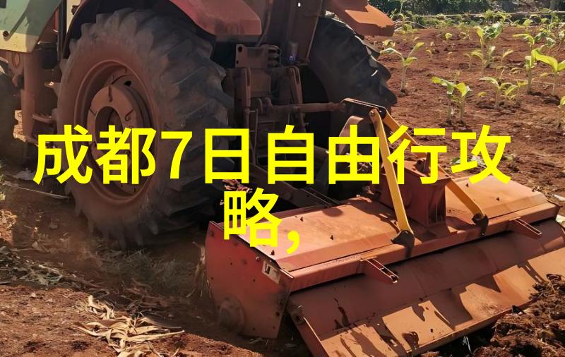 春节逃寒游寻找温暖与性价比的双重奇迹