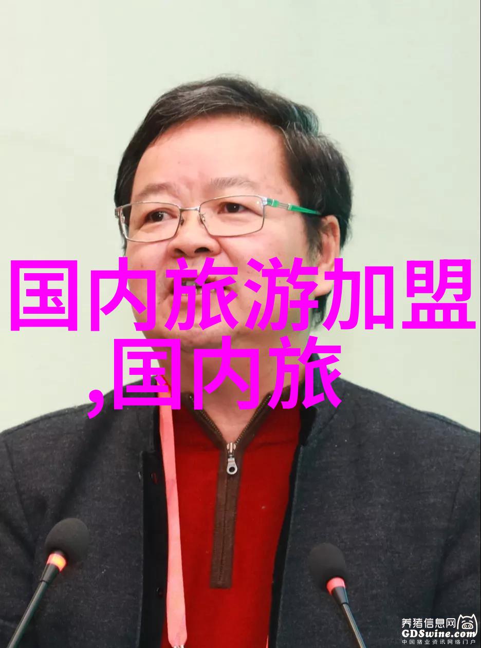 可以出国旅游了吗-海外之旅的新篇章