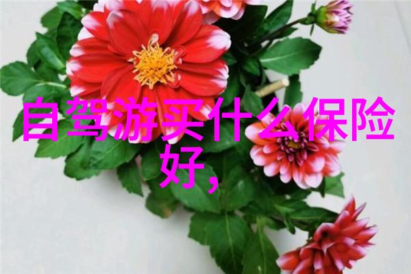 皇宫中的宠儿殿下囚禁的秘密情人