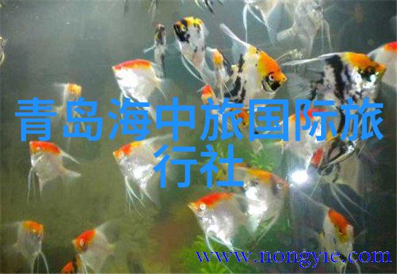 国庆旅游景点推荐我带你去这些热门地儿过大节