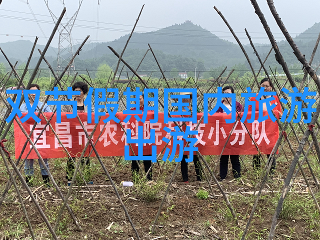翠峦山庄探秘云端之巅的隐逸天堂