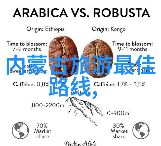 西安必吃美食攻略 - 西安老城街头巷尾的味道寻踪