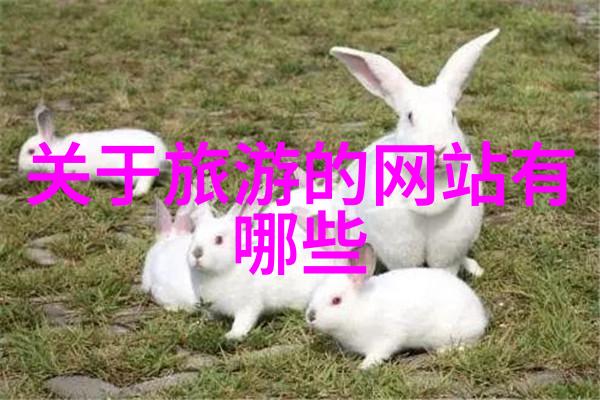 梦幻大陆探索美国十大自然奇观