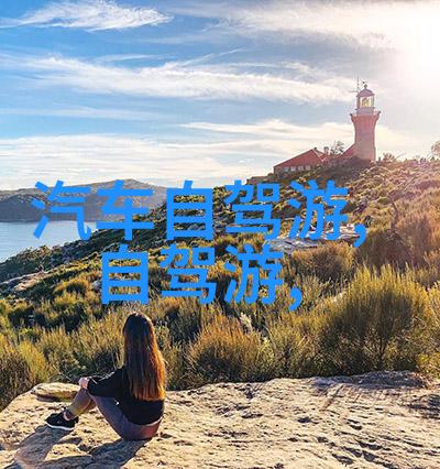 超越边界追寻梦想跨国的激情四驱之旅记事集锦