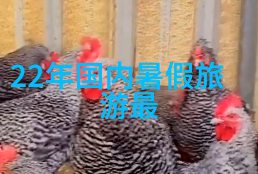 租车不容易自驾游的开心与煎熬
