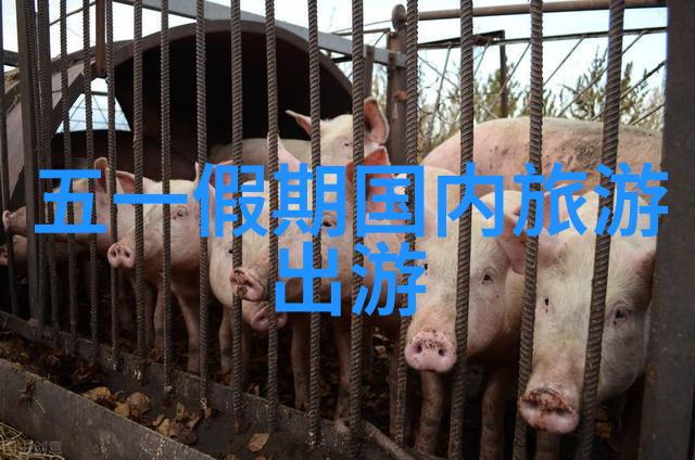乌镇我的水乡记忆