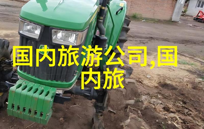 诡辩与真相揭秘迷雾中的真理追踪