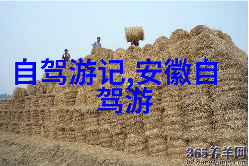 青岛旅游攻略3天-青岛美食之旅品味海鲜与德国风情的三日行程