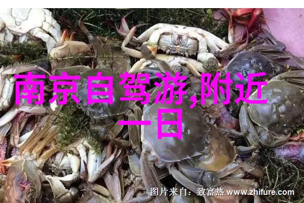泰山的守护之地探秘中国足球的传奇基地