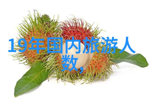 骑行女神自行车上的力量与自由