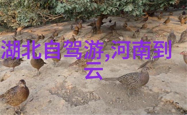 撕裂人国语文化纽带的断裂与重建