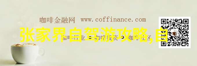 自行车骑行技巧与要领骑行姿势调整平衡感提升变速操作精通安全装备配戴