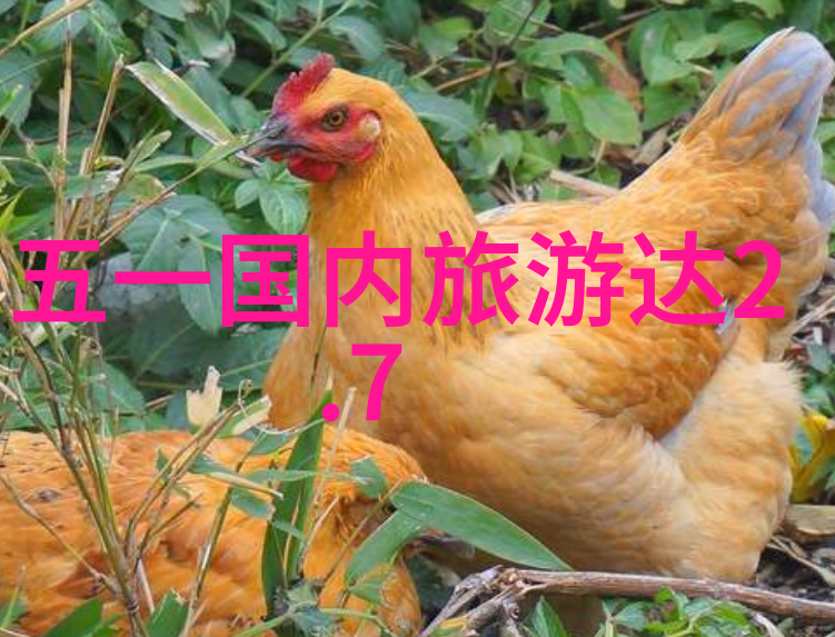 春日游记四年级学生的探险故事