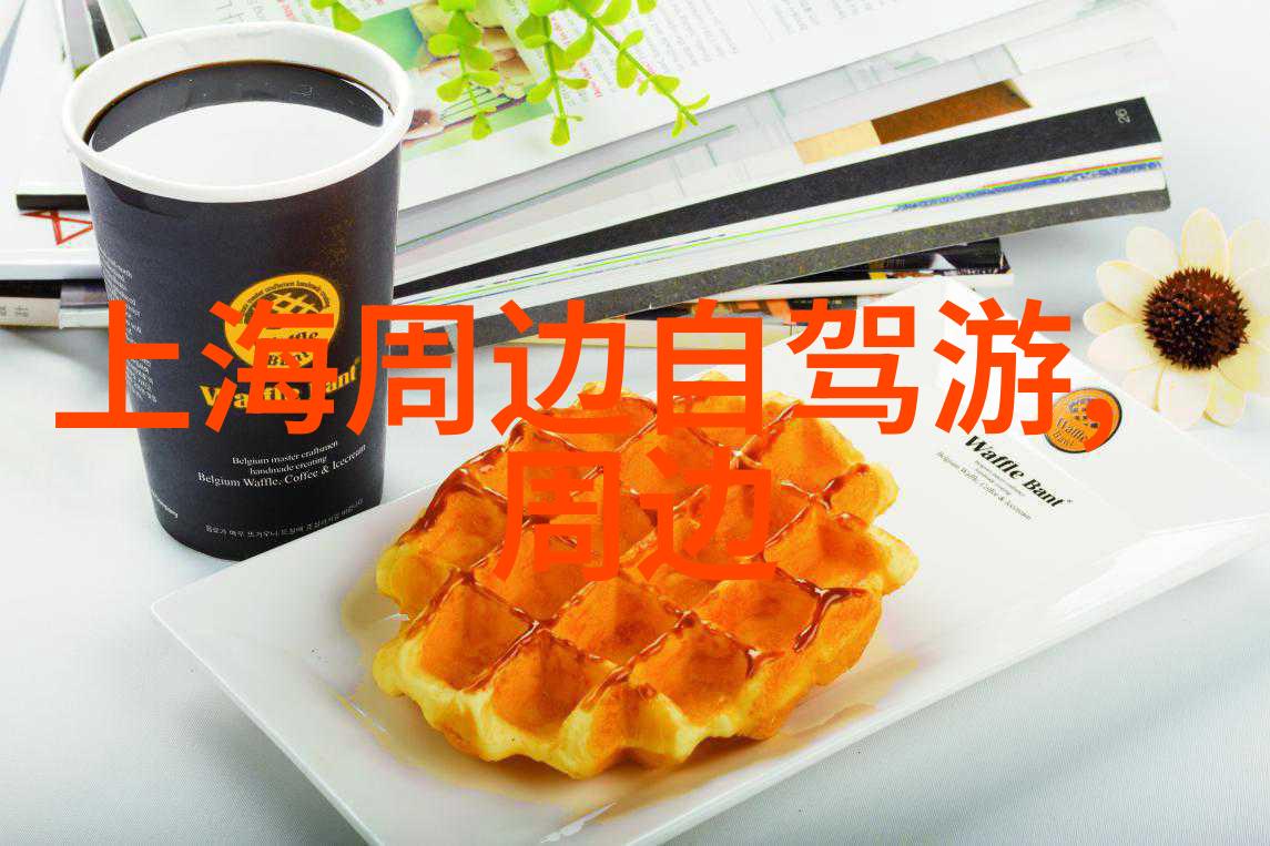 探索三亚美景民宿生活攻略