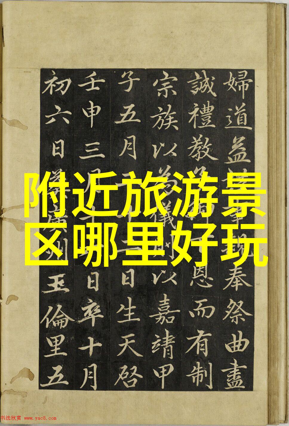 选择理想的骑行记录软件功能与用户体验的平衡探索