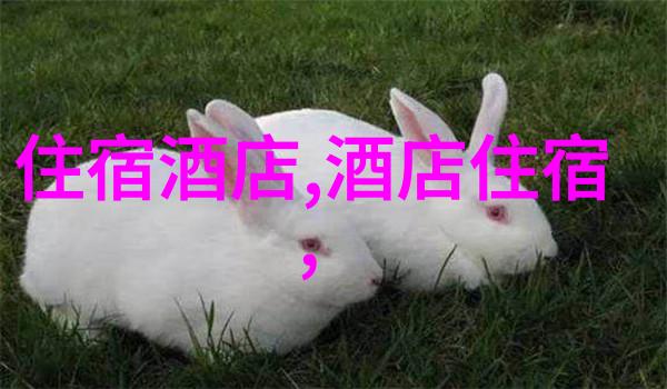 全球旅行解锁现在可以去的国家热门目的地与安全须知