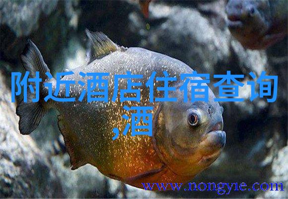如果要用一张嘴来赞扬上海最值得一去的是哪5个烹饪殿堂