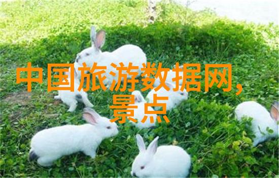 北京牛街小吃品味历史的味道