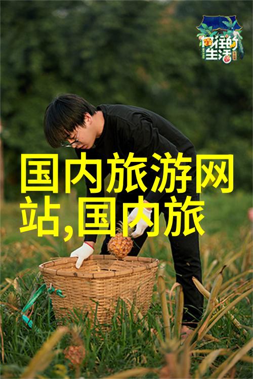 出行前夕的准备工作国外之旅的必备指南