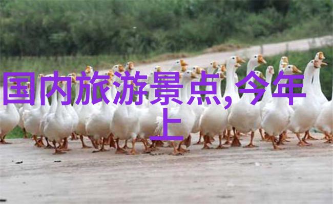 远足恋情星光下的帐篷秘密