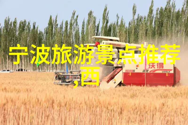 远方的旅程未知之路上的秘密伙伴