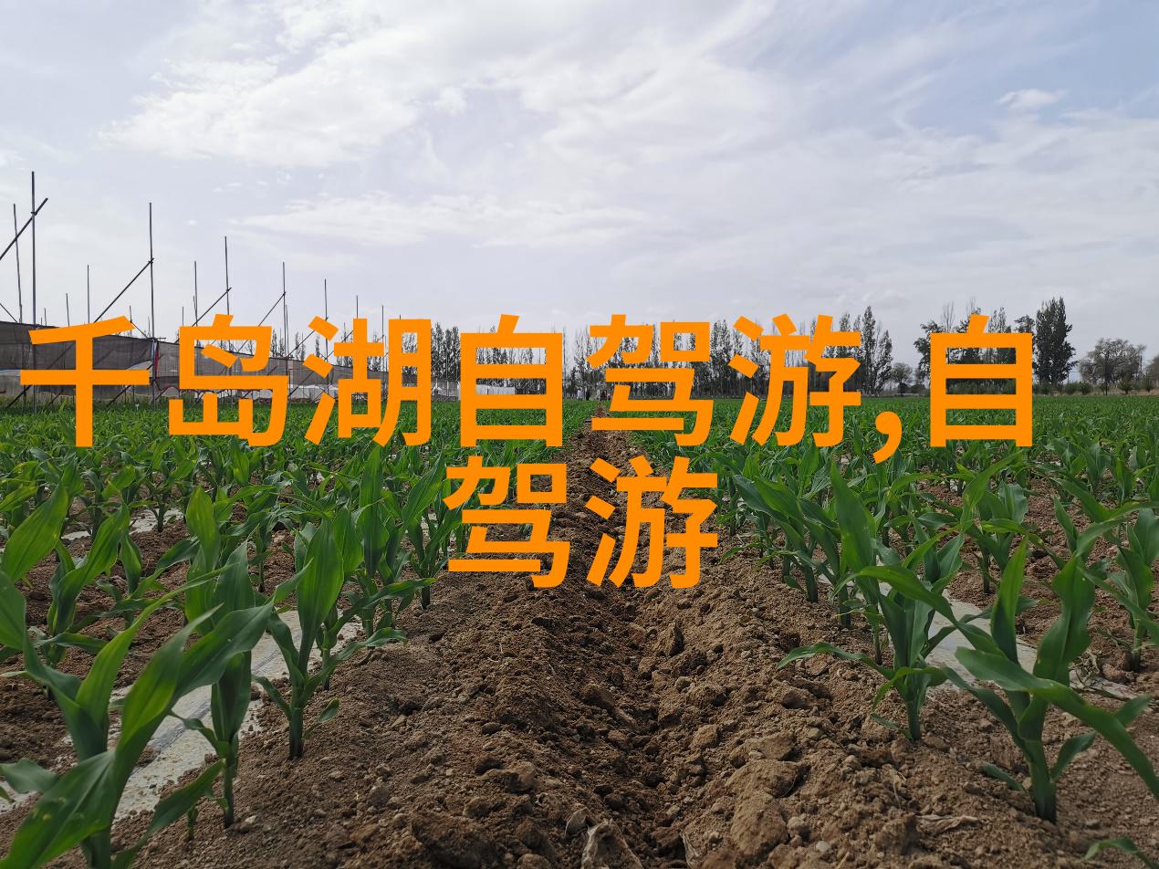写作技巧如何让你的游记吸引读者