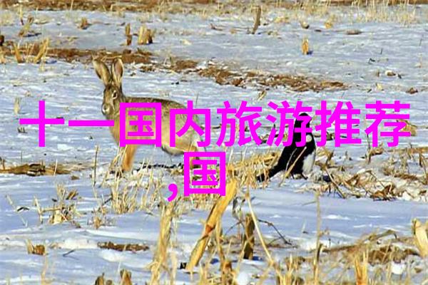 中国古都之旅揭秘十一线路的文化遗产与现代魅力