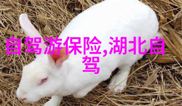 在天津哪家滑雪场最适合户外活动方案的制定