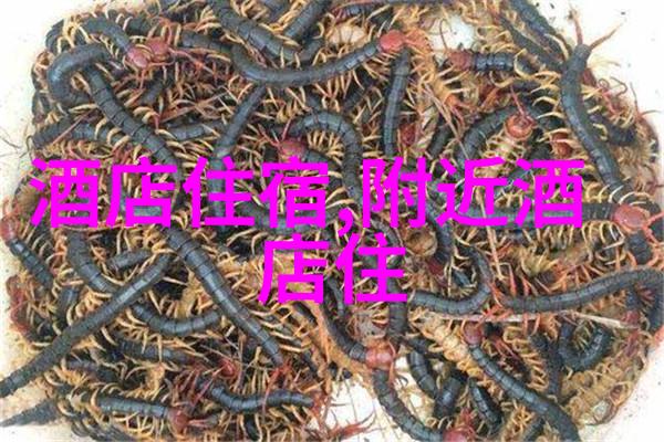 公路骑行的好处与坏处 - 转山飞驰探索公路自行车运动的双刃剑