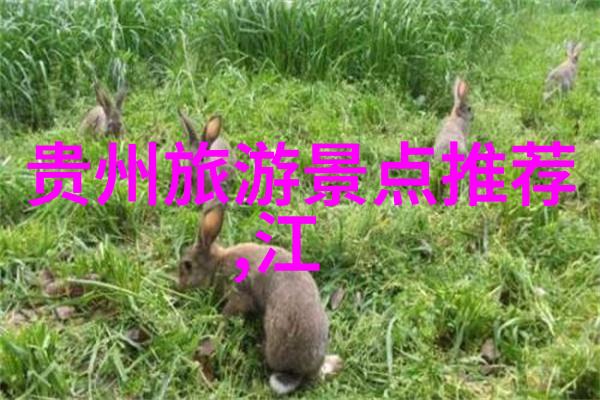 主题我去年到香港隔离酒店价格都花了多少啊
