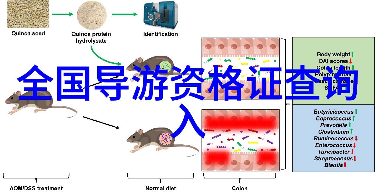 新疆自驾游我的西部边陲探秘记