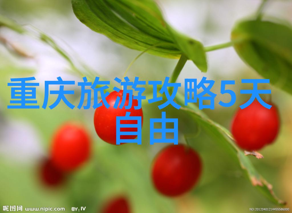 古今交融杭州旅游攻略中的隐秘角落与璀璨景观