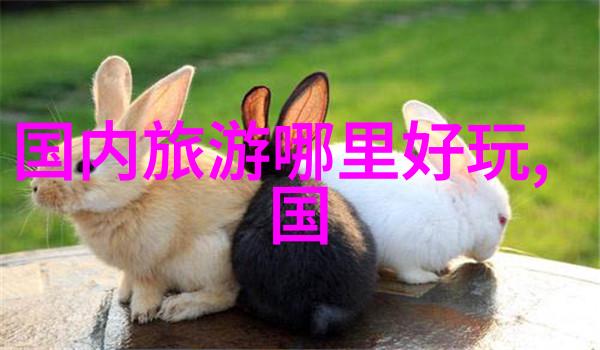 红土高原上的日出与日落内蒙古草原漫步记